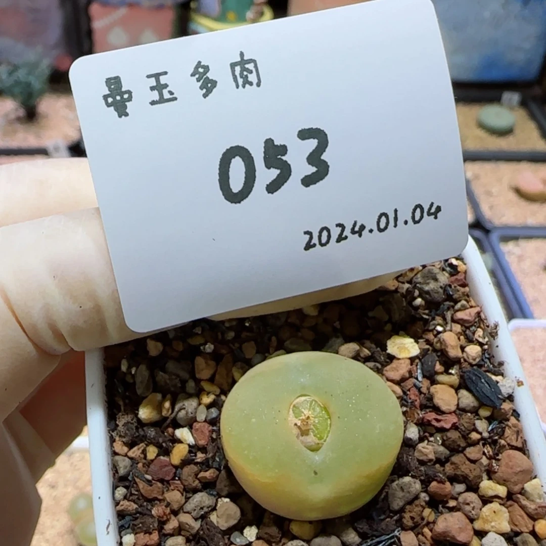 【闪购商品】1.4-053