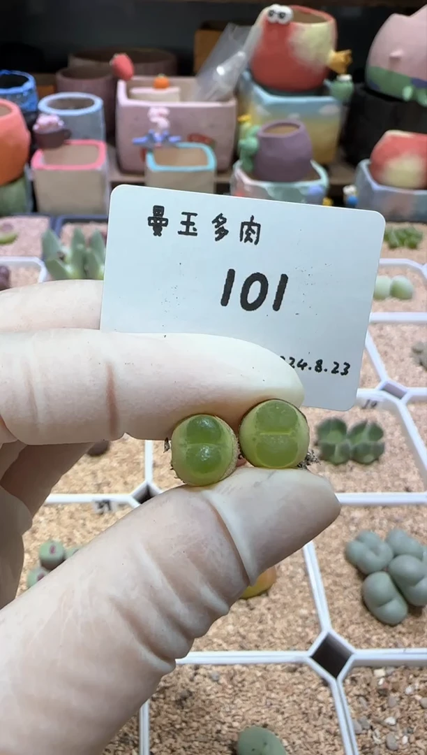 【闪购商品】8.23-101
