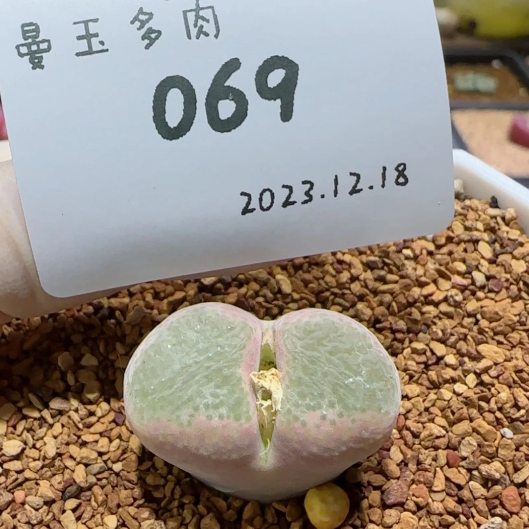 【闪购商品】会****人12.18-069诗人