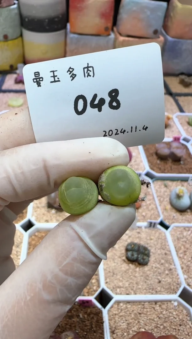 【闪购商品】11.4-48