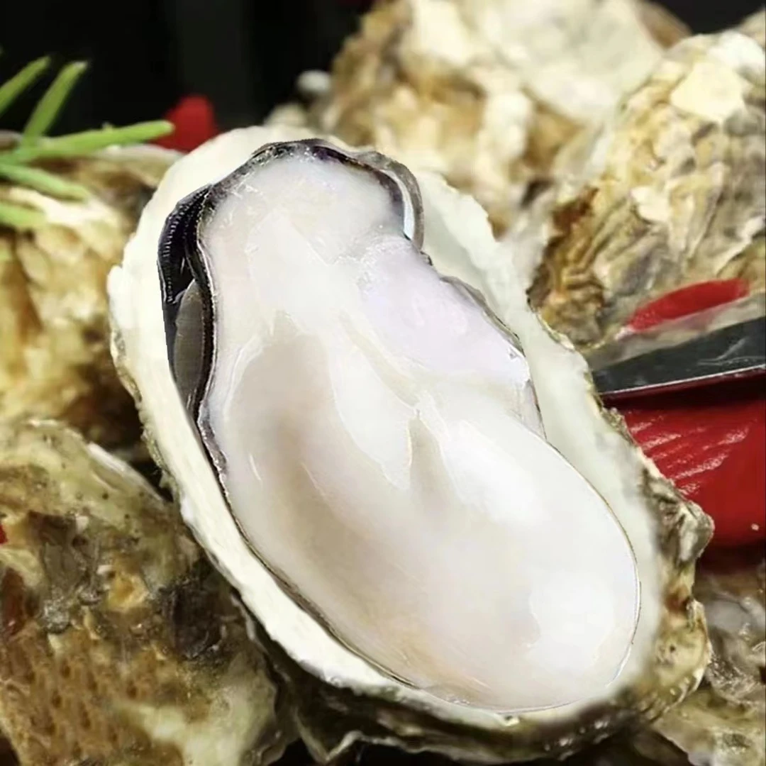 现剥 大大号生蚝肉250克/盒到手9盒 每盒3到6只左右 送调料包