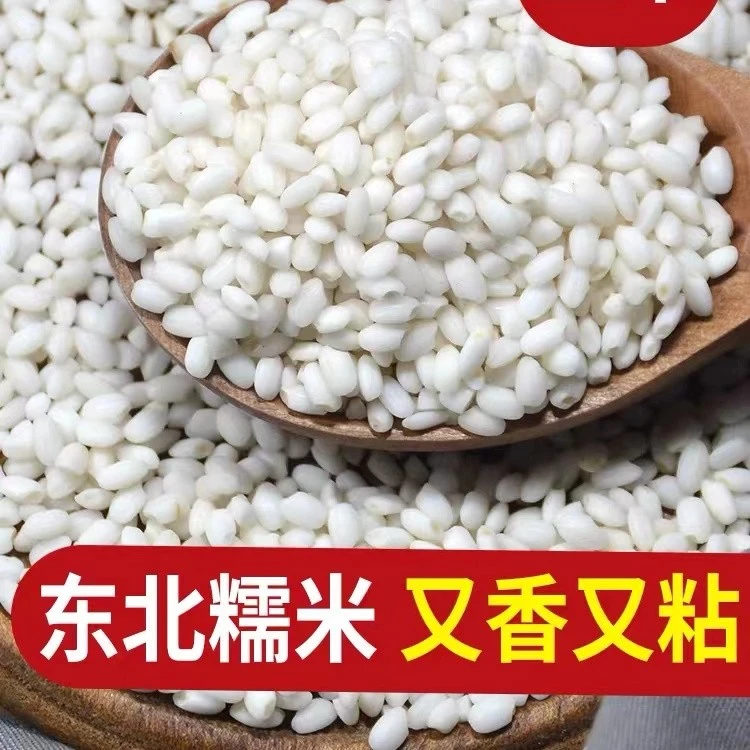 2023年新米食用糯米东北粘大米新糯米白江米黏大米包粽子酿酒原料