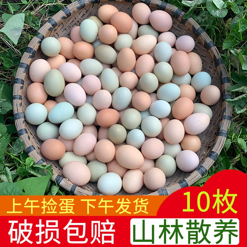 新鲜正宗土鸡蛋农家散养新鲜天然草鸡蛋笨鸡蛋乌绿壳蛋无菌