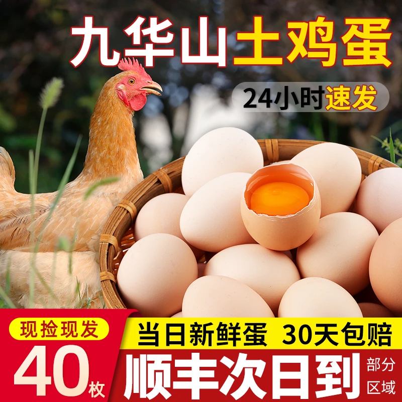 正宗土鸡蛋散养土鸡蛋健康山林农家谷物草鸡蛋柴鸡蛋新鲜批发整箱