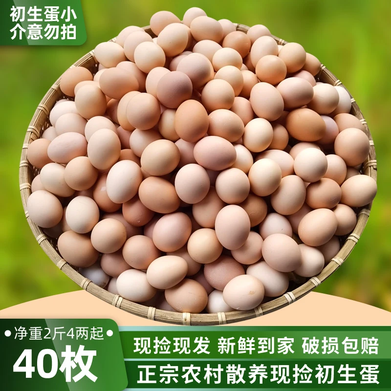 土鸡蛋新鲜无菌初生蛋健康农家散养柴鸡蛋无菌正宗农村笨鸡蛋