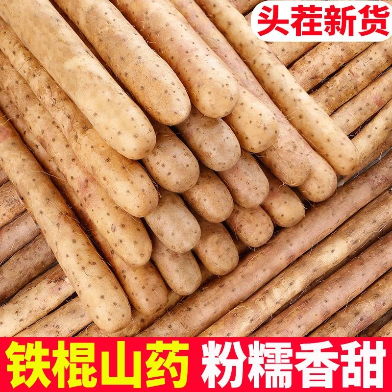 小白嘴山药5斤带箱当季正宗铁棍山药新鲜铁杆淮山药新鲜现挖3斤
