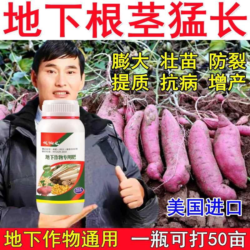 进口地下猛长地下根茎专用膨大剂土豆莲藕生姜蒜芋头红薯荸荠萝卜