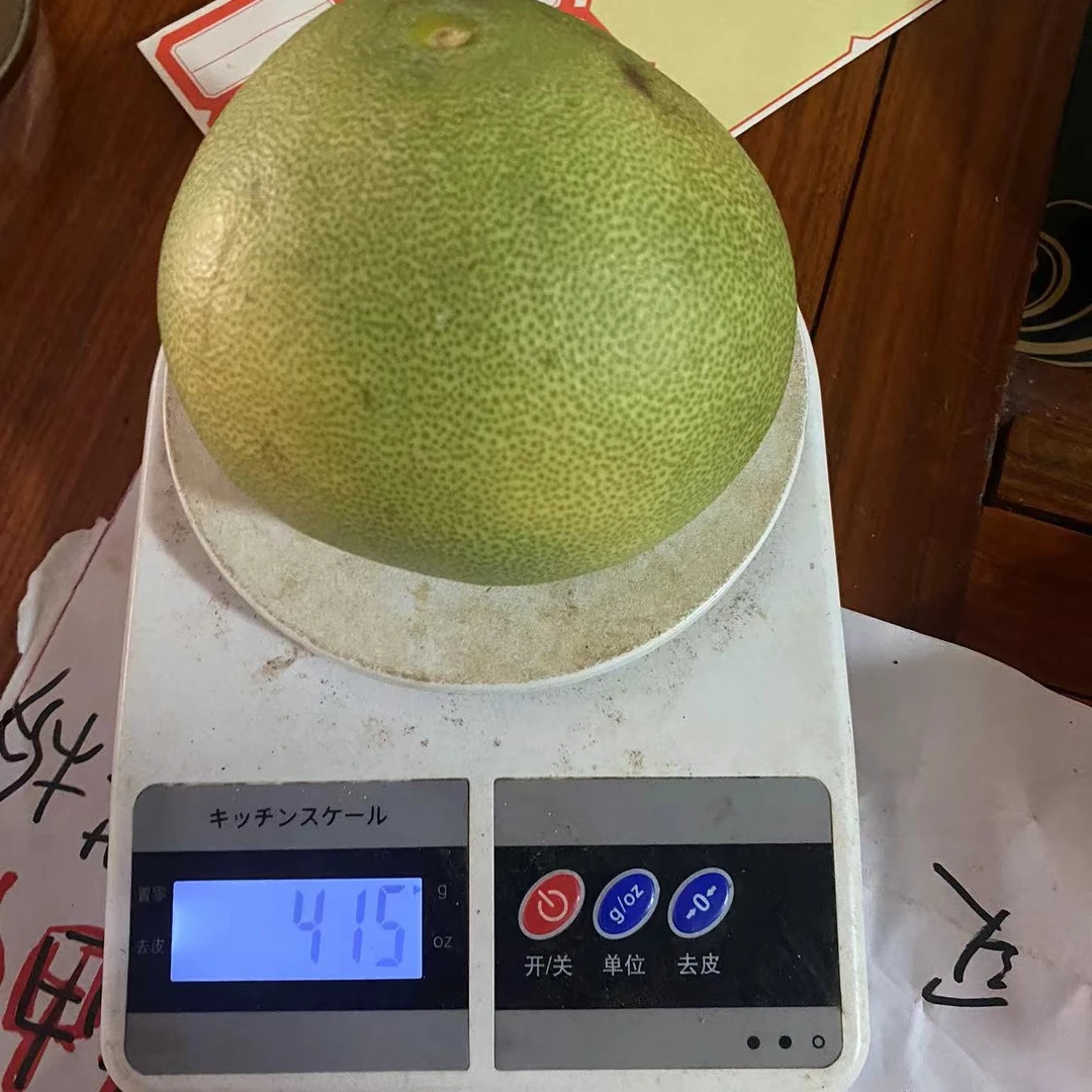 度尾文旦柚小果（400克-500克）