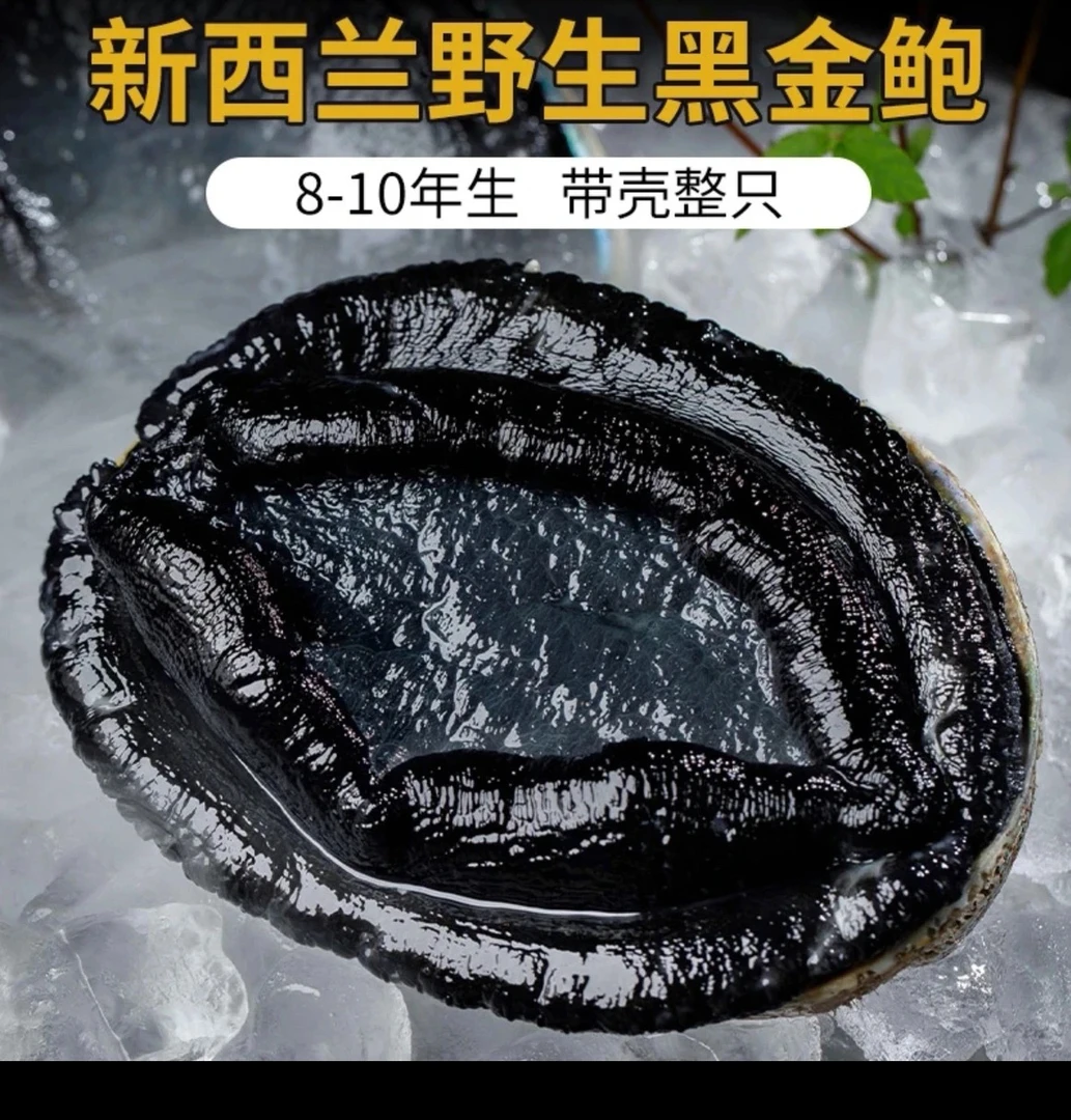 连云港鲜活发货新西兰黑金大澳鲍鱼2只（每只400克-500克）保鲜保费