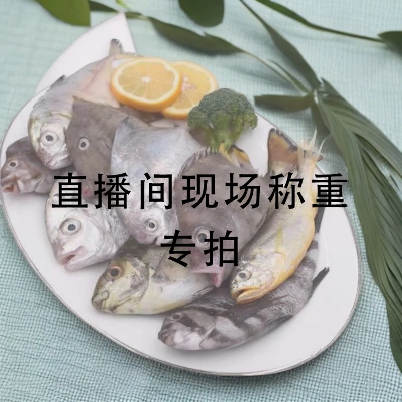 渔鲜福青岛海杂鱼直播间现场拼单为准