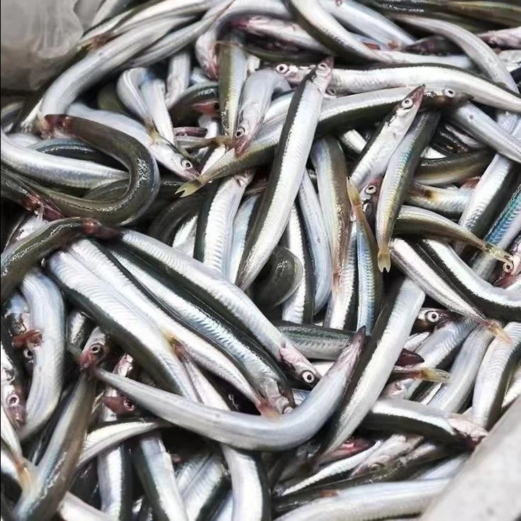 渔鲜福小银鱼 青岛 面条鱼 鲜冻发货【4斤】(6-8CM/条)新鲜食用