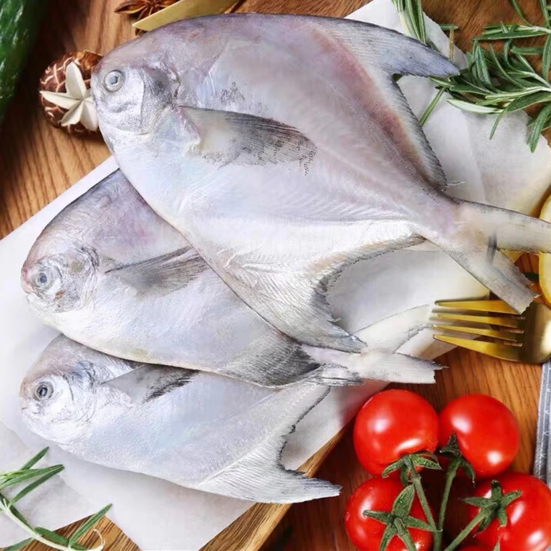 渔鲜福 码头新鲜野生银鲳鱼 鲜美小鲳鱼净重6斤（7条左右/斤）