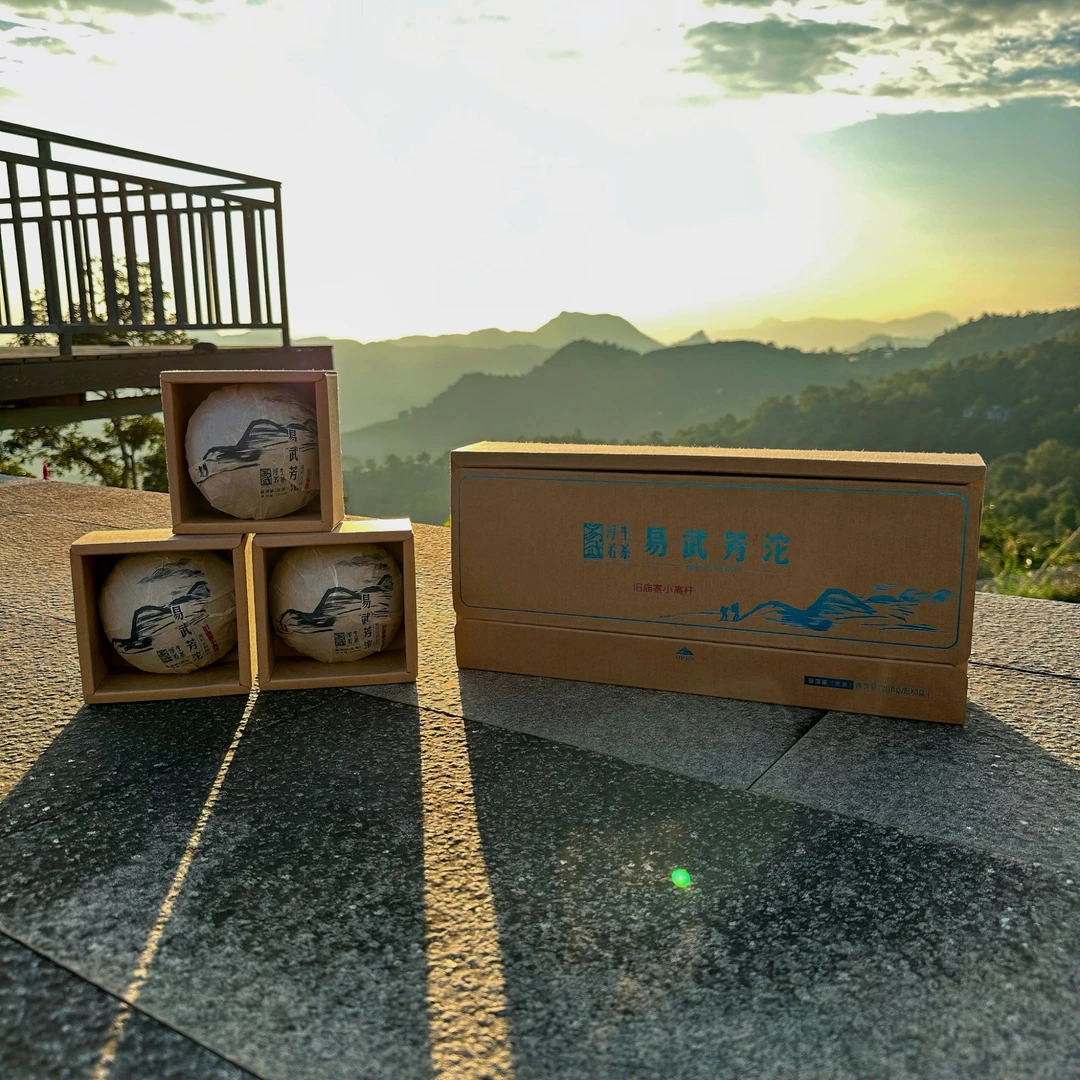 2023年易武旧庙小高杆普洱茶生茶源头茶厂饱满厚实油润传统晒青