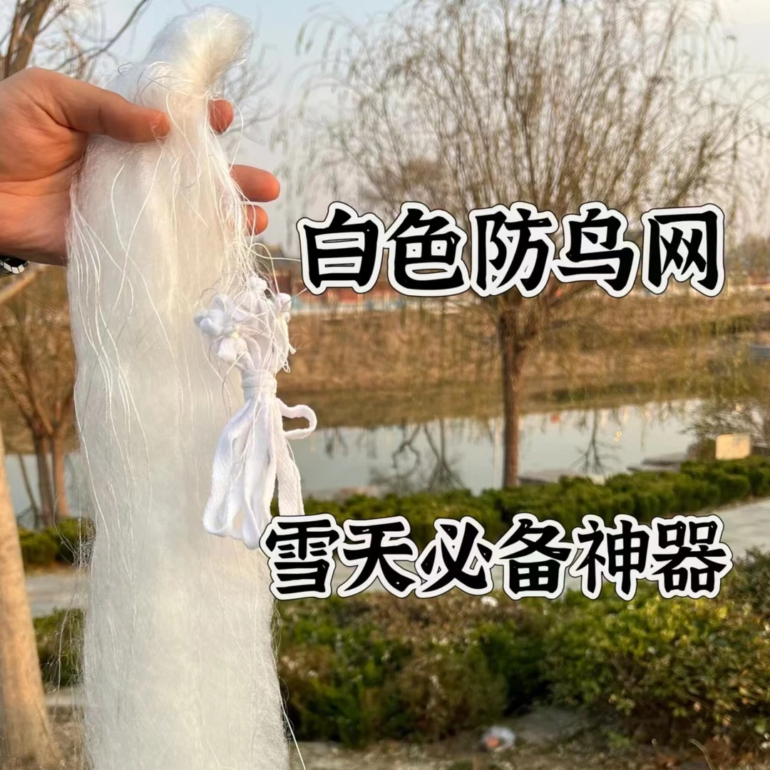 果园防鸟网白色丝网单丝网