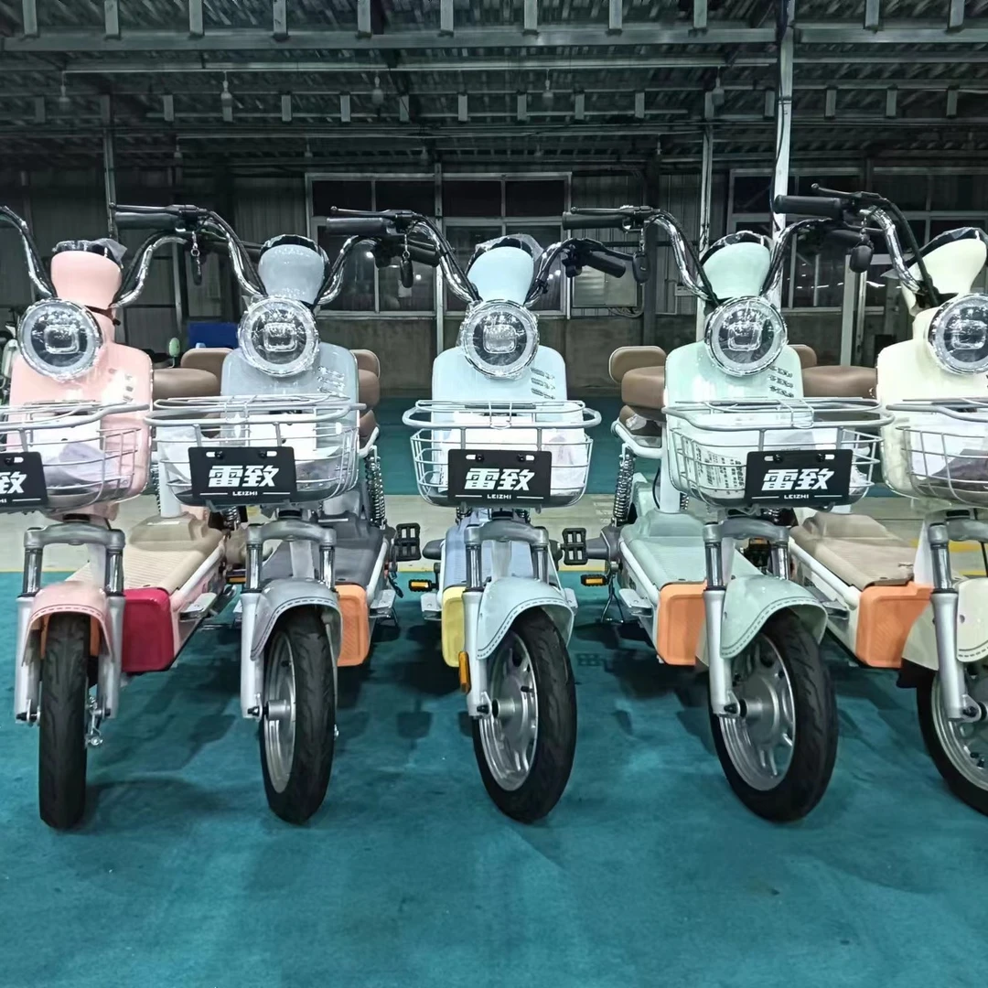 电单车简易款挡泥板外贸订单产品