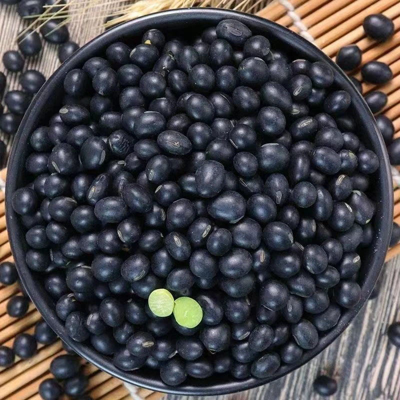 新黑豆打豆浆绿心大黑豆干净饱满非转基因农村自种黑豆子黑小豆