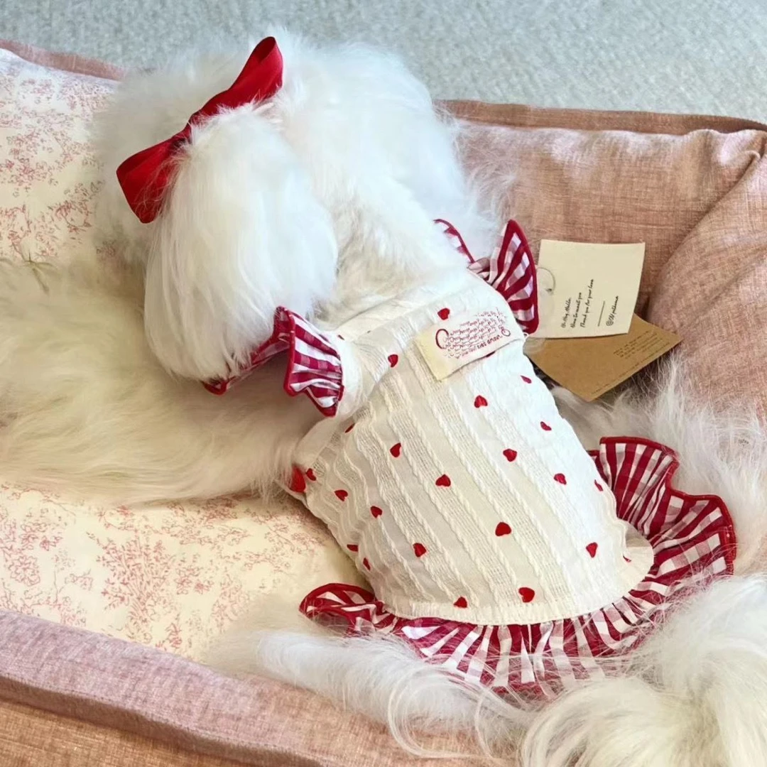 敲美的小裙子!清新可爱小型犬泰迪比熊猫咪博美碎花连衣裙春夏装