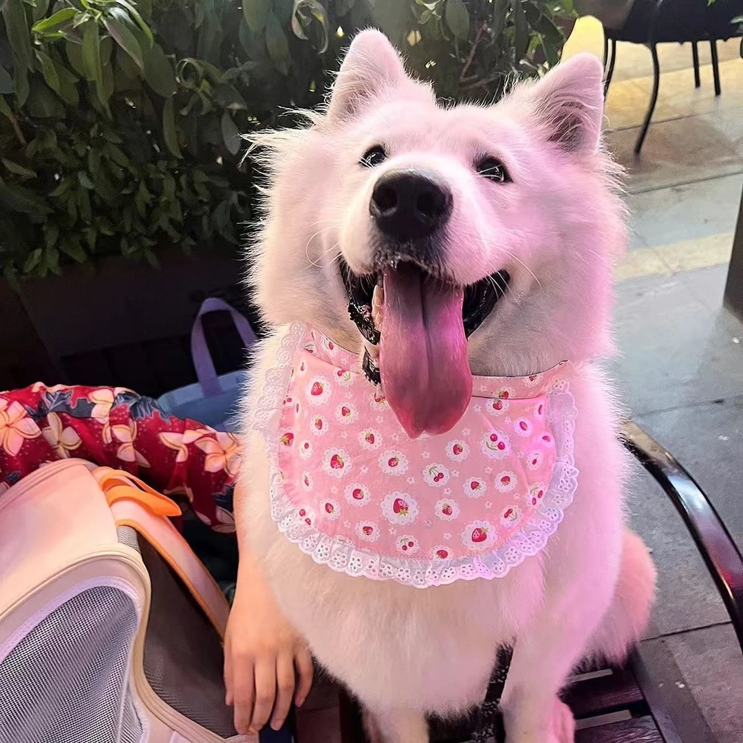 小中大型犬围兜狗狗口水巾围巾萨摩耶金毛哈士奇阿拉斯加狗狗围脖