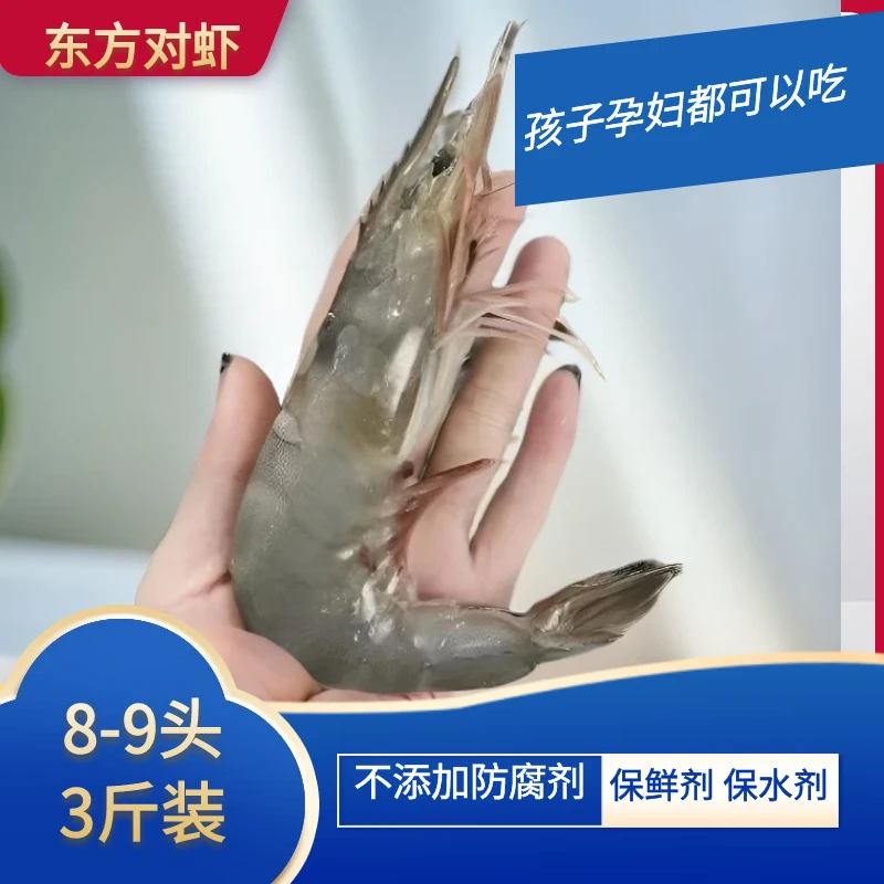 东方虾一斤8-9只三斤装（1500g） 丹东东港发货 新鲜速冻少量掉秤