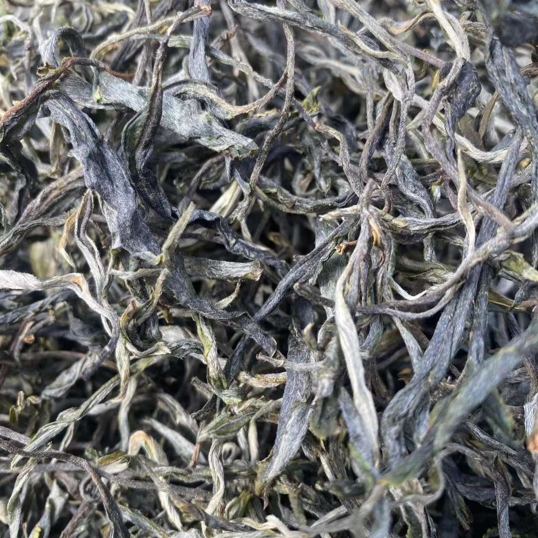 2024年磨烈古树春茶200克饼茶