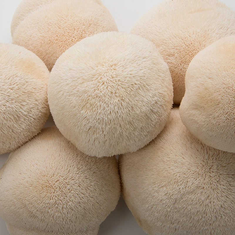 头茬新鲜猴头菇大量上市