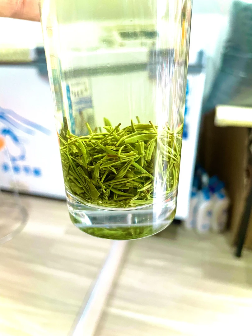 2024南漳茗茶  秋茶芽毛尖