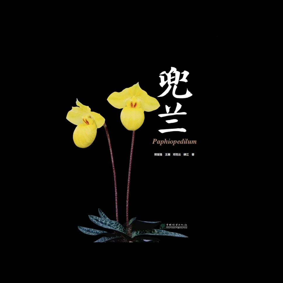 兜兰 郑宝强//王雁//邓克云//律江