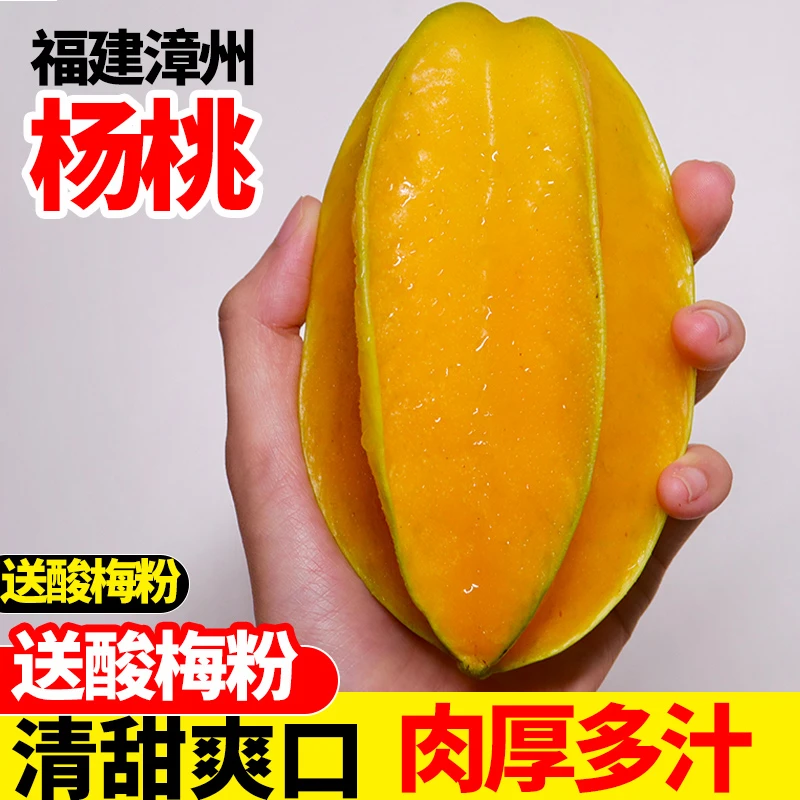 福建漳州下河杨桃特级大果2/5斤甜红杨桃新鲜产地直发五角星水果