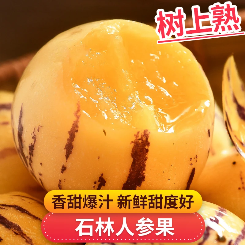 粉丝专享 石林人参果1-5斤树上熟香甜爆汁新鲜甜度好新鲜水果好吃
