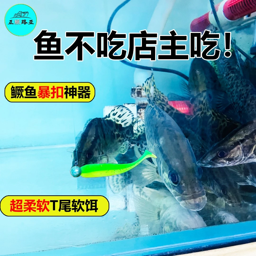 路亚软饵爆钓T尾仿真软饵翘嘴软虫假饵打黑专用鲈鱼鳜鱼黑坑桂鱼
