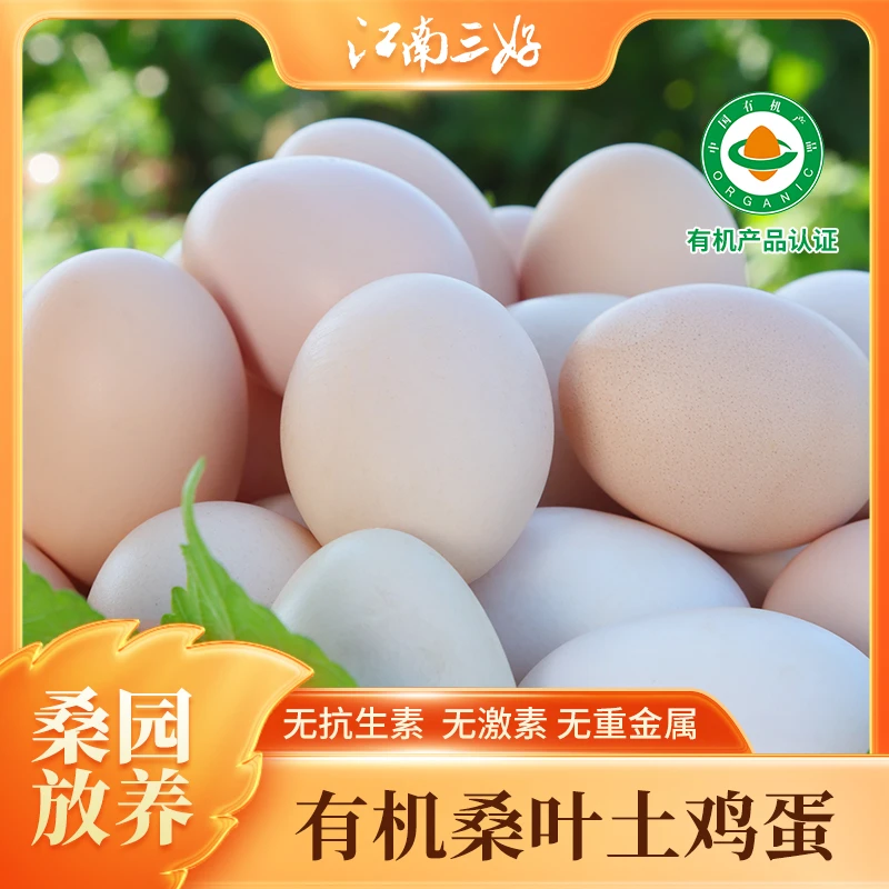 江南三好有机桑叶土鸡蛋广德毛腿鸡农场现捡新鲜土鸡蛋绿色营养