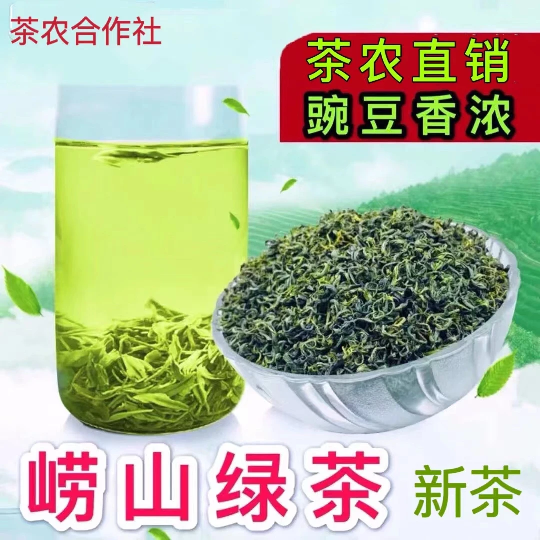 崂山茶正宗崂山绿茶2025新茶春季采摘豌豆香高山云雾山东青岛特产