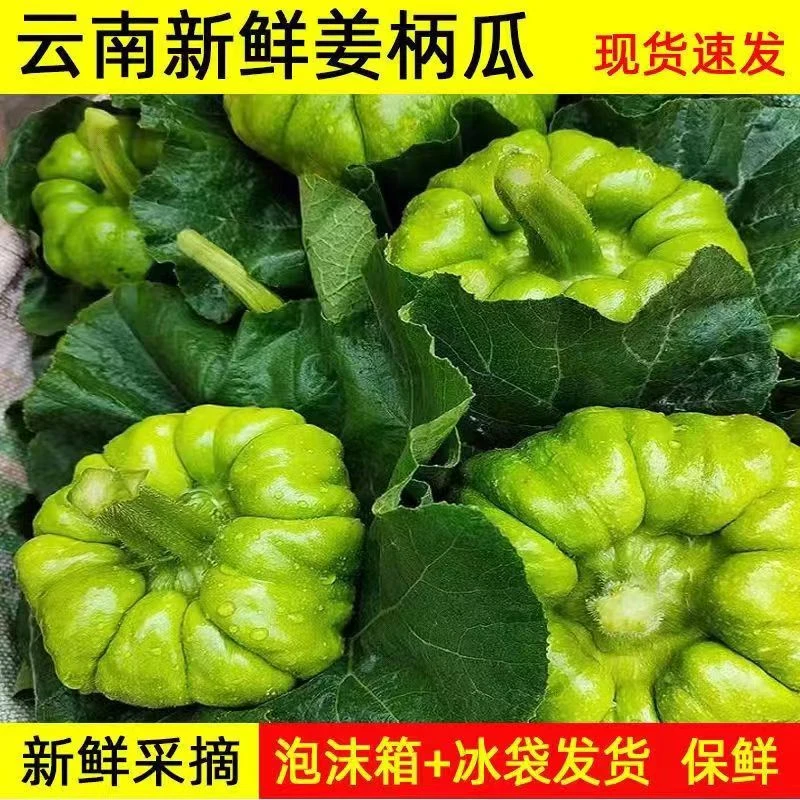 云南特产新鲜小麦瓜姜饼瓜迷你小南瓜小绿瓜甜瓜面瓜5斤包邮水煮
