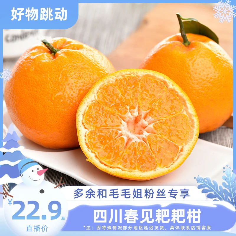 【余你相遇】四川春见耙耙柑4.5斤新鲜水果应当季橘子柑橘蜜桔子