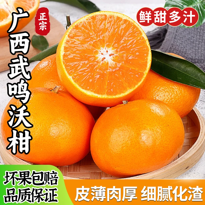 广西武鸣沃柑新鲜水果当季柑橘时令橘子香甜现摘桔子