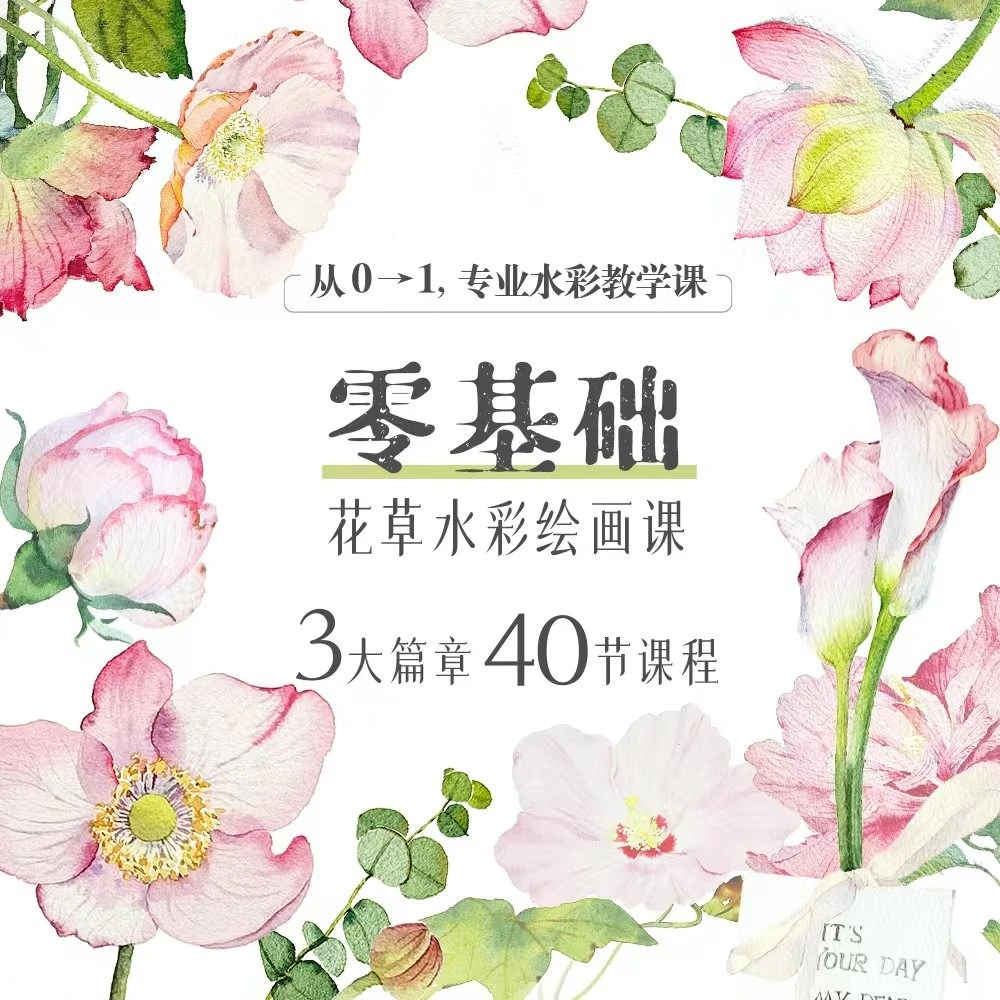 零基础  |  花卉水彩课