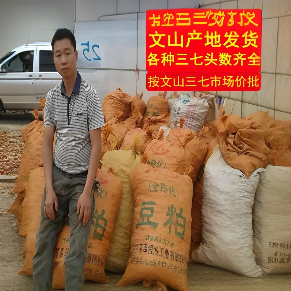 云南特产文山三七云南田七20头30头40头60头可代磨粉包邮有运费险