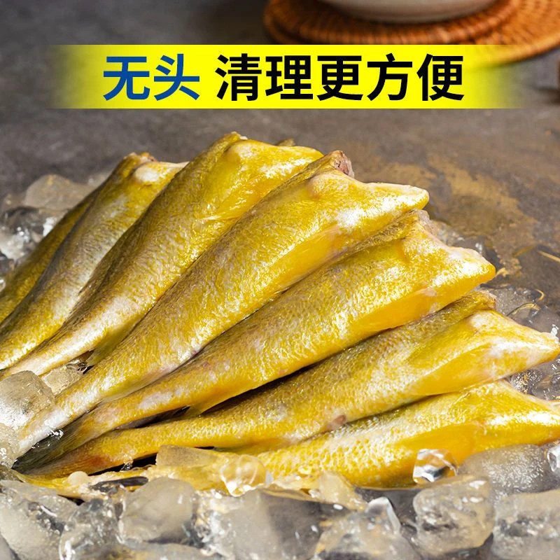 [大号有肉]去头黄花鱼4斤新鲜速冻无头小黄鱼海鲜人工精选批发