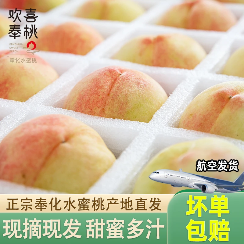 奉化水蜜桃新鲜水果当季软脆桃子毛桃湖景白凤现摘宁波特产