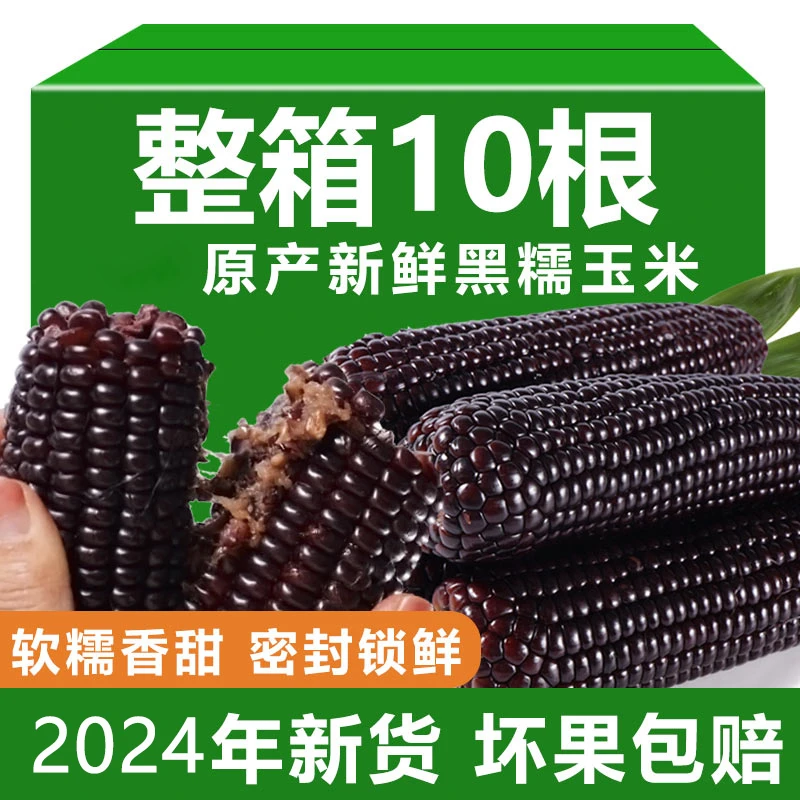 【大棒10根】头茬新鲜黑玉米东北糯熟真空粗粮代餐健身玉米营养甜糯