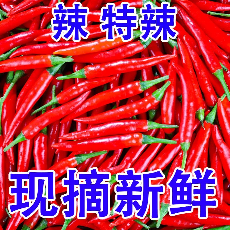 7T【13.8抢三斤】河南新鲜小米辣小米椒现摘现发