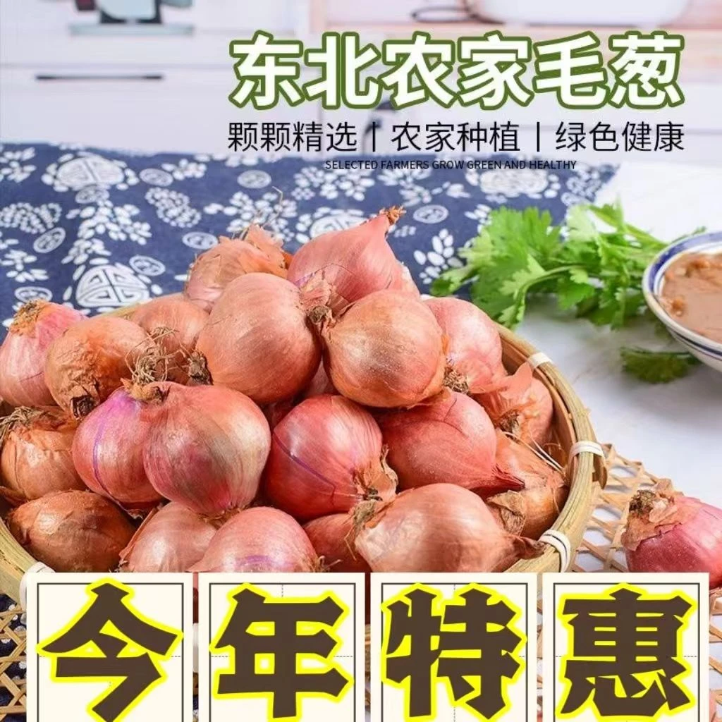 【超低价】东北小毛葱农家毛葱小圆葱小洋葱头新鲜批发1/3/5斤包邮