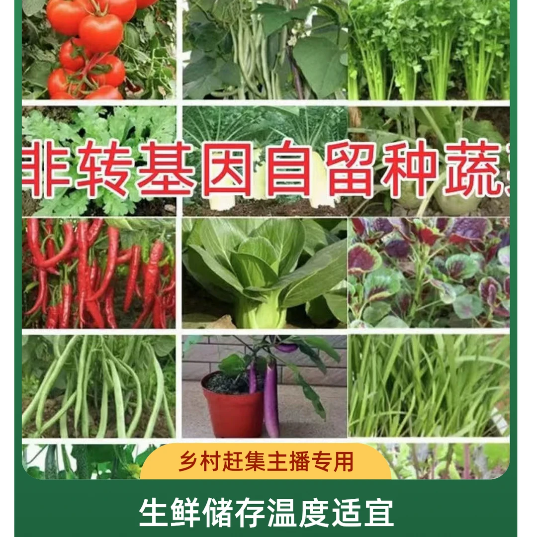 乡村赶集主播专用【主播专用】蔬菜组合