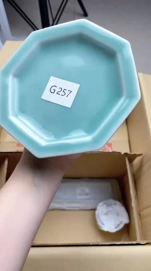 【闪购商品】瓷瓷片G257