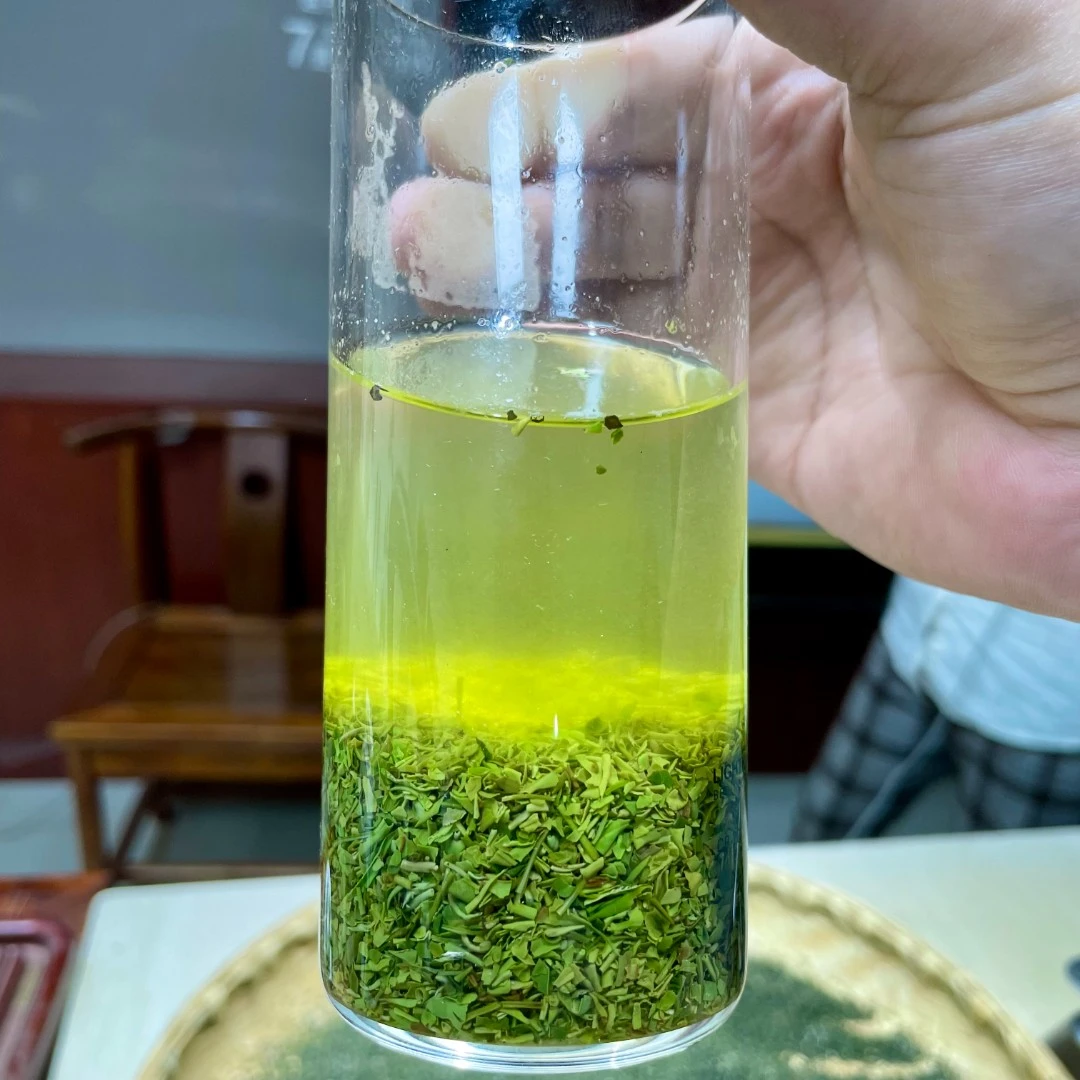春茶茶碎片碎片茶栗香型茶碎片2023年浓香型口粮茶信阳毛尖