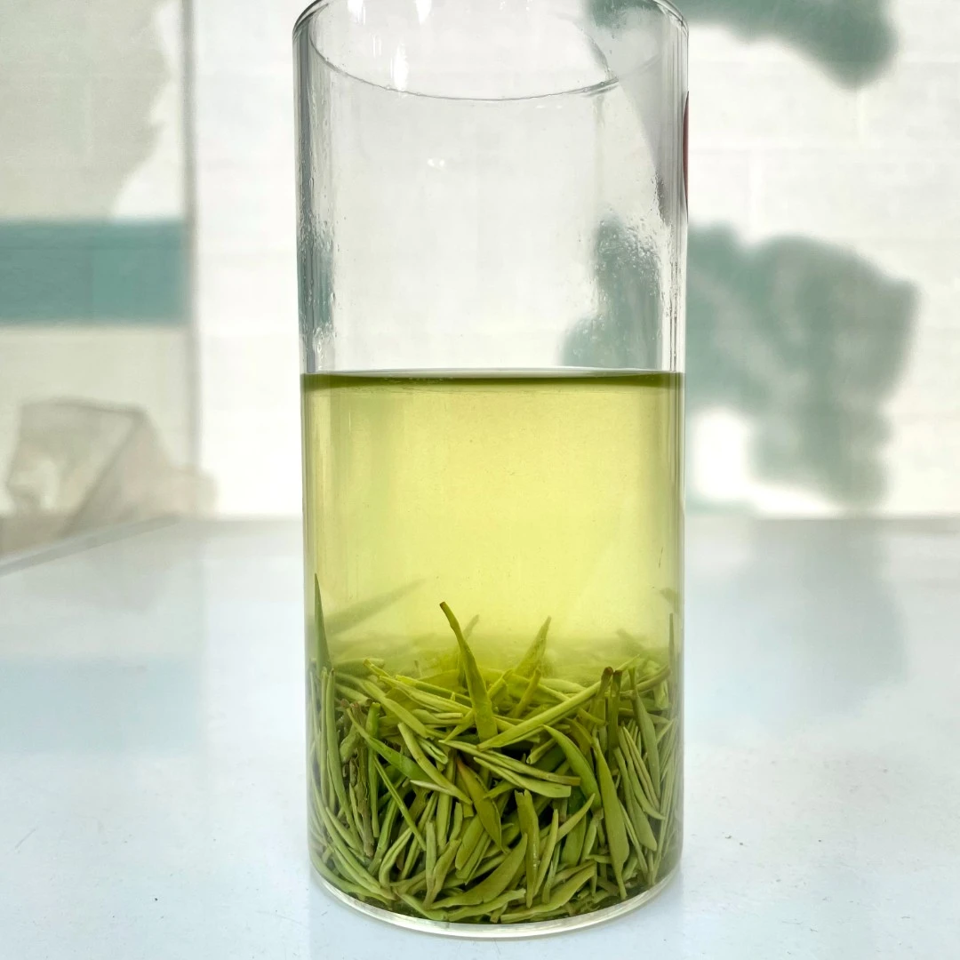 2023年A19高山小芽明前茶绿茶栗香型信阳毛尖礼盒散装盒装茶