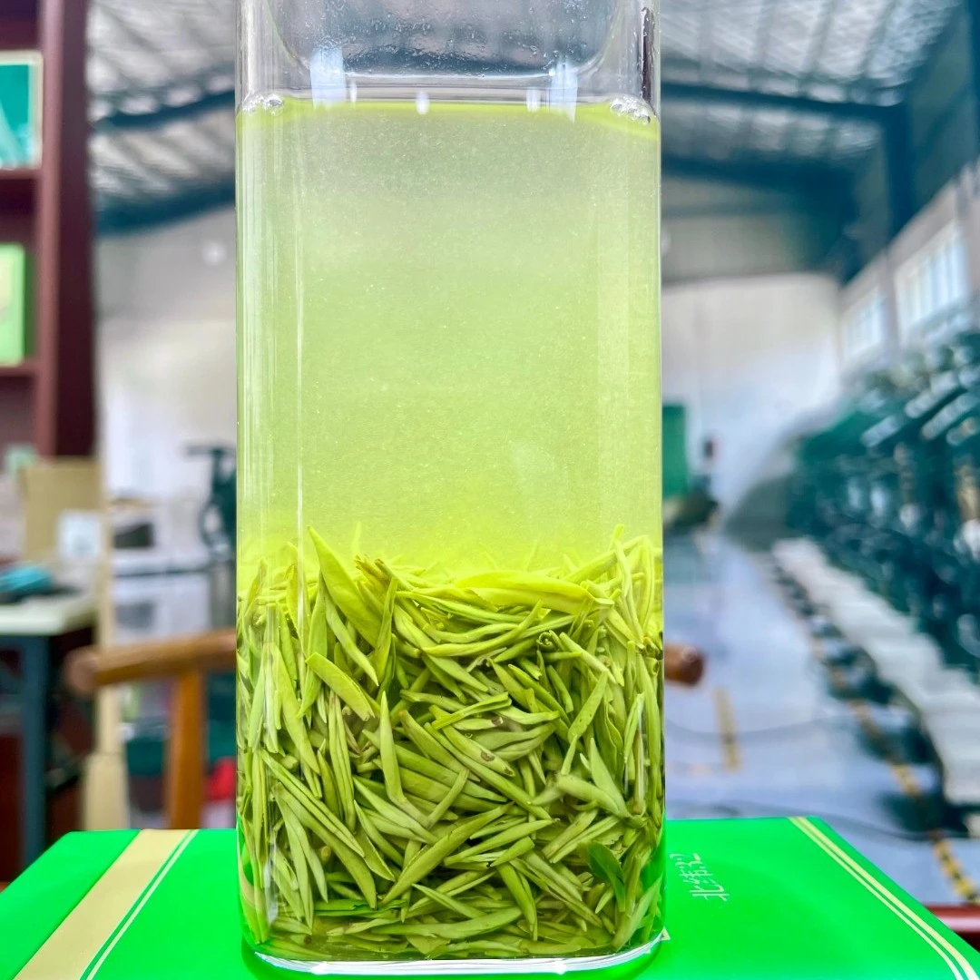 【淡季促销】雨前精品小芽正宗信阳毛尖栗香型盒装茶叶原产地直发