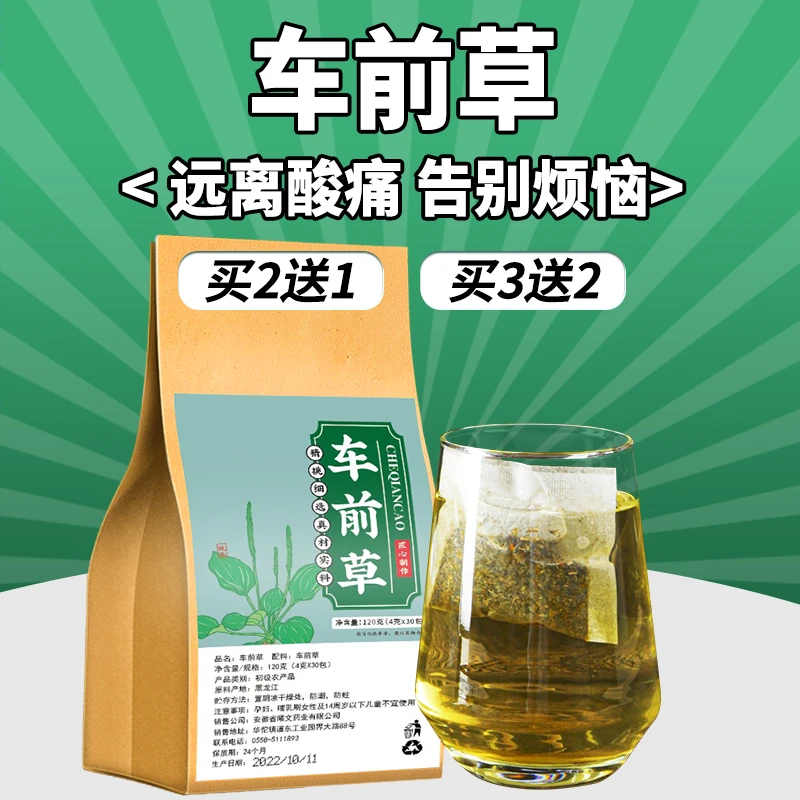 纯车前草袋泡茶蒲公英玉米须降酸中老年清风去痛排酸前列腺利尿茶