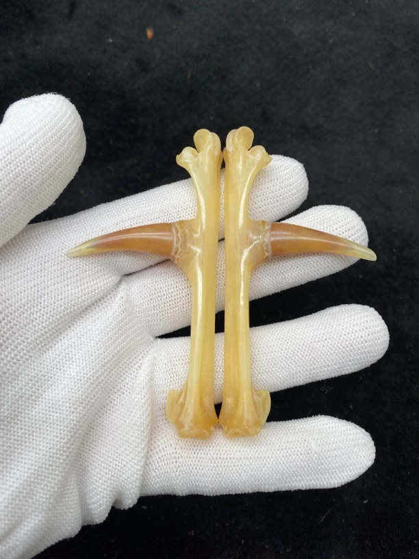 鸡爪骨，鸡蹬子钥匙扣，下单带保养油装饰品手套