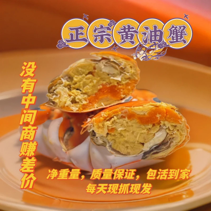 【正宗膏油黄油蟹7-8两/只】蟹蟹琳黄油蟹没有中间商赚差价质量保证